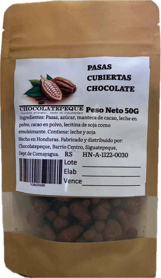 Chocolate covered Raisins (1.75oz)